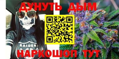 Альфа ПВП Кингисепп