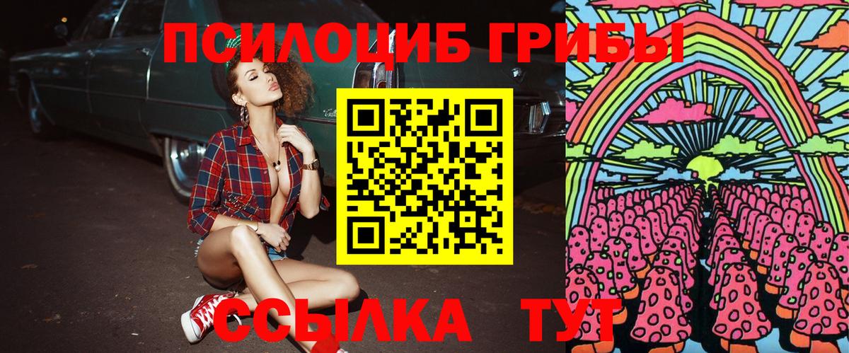 Галлюциногенные грибы Cubensis  Псилоцибиновые грибы Psilocybine cubensis  Новороссийск  Вход с VPN 